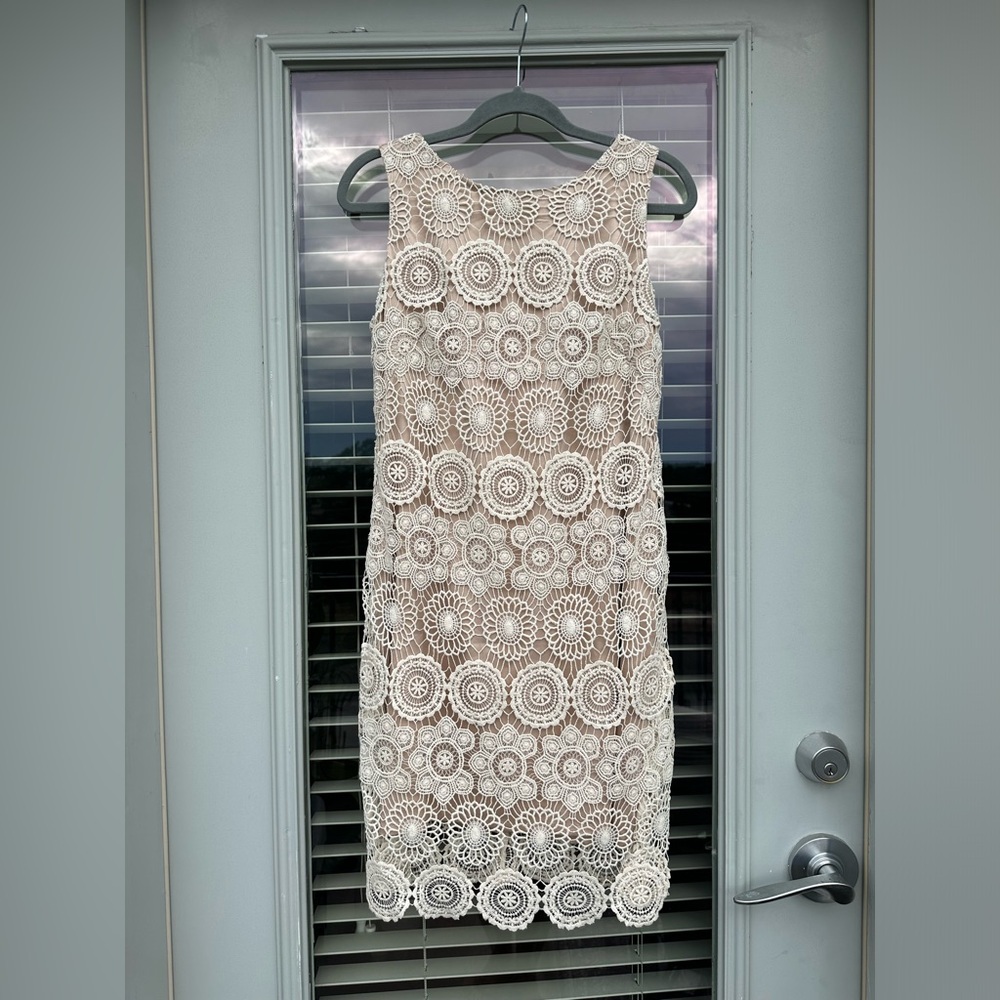 Eliza J Lace Sleeveless Shift Dress Size 6 Crochet Scalloped Hem Bohemian - Picture 2 of 9